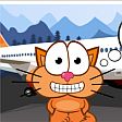Cat Around Alpine Lakes