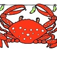 Krab a prádelní šňůra…